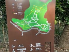 -上海佘山国家森林公园天马山园