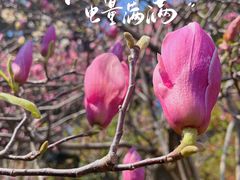 -乌山风景区
