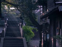 -桐乡凤凰湖