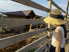 -安德鲁户外烧烤帐篷营地(马泉营店)