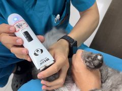 -瑞派宠物医院·24h·骨外科·皮肤科·全科宠物医疗转诊中心(沈阳浑南院)