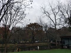 -WeLope紫金山探险公园