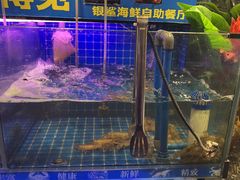 -银鲨海鲜烤肉火锅自助餐厅(五星店)