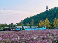-径山花海