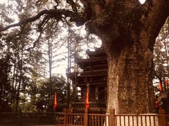 -安溪清水岩