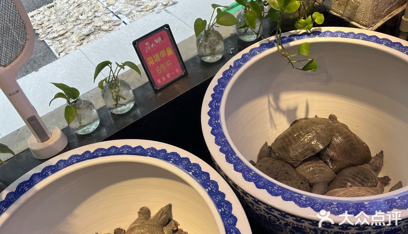 女神节带我来吃这家,简直了!