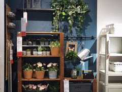 -宜家家居(哈尔滨商场店)