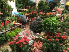 -双季花艺园艺市场(浦东店)