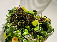 -曲廊院(东四十一条店)