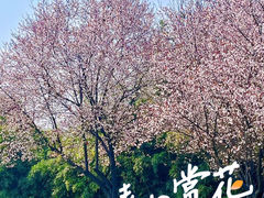 -四川大学(江安校区)
