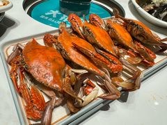 -大锅强·蒸海鲜青岛菜(金沙滩店)