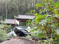 -广州神农草堂中医药博物馆