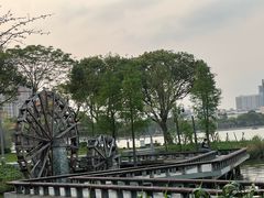 -顺峰山公园