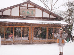 -北海道神宫