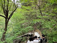 -洛阳白云山景区