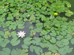 -镇江市南山风景名胜区竹林景区