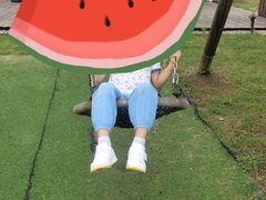 -田园东方蜜桃村的田野营地