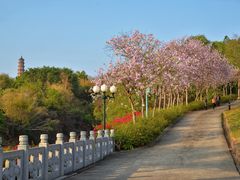 -广州莲花山旅游区