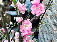 -VOYAGE COFFEE(北锣鼓巷店)