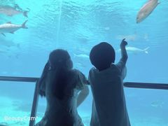 -悉尼海洋生物水族馆