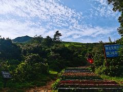 -大姆山草场
