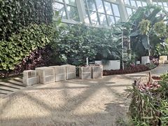 -石家庄市植物园