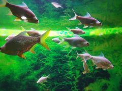 -常州海昌海洋探索馆