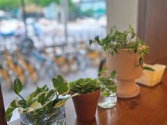 -稻田秋(怡美广场店)