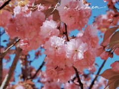 -北岭山森林公园