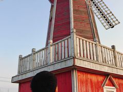 -羊亭河湿地公园