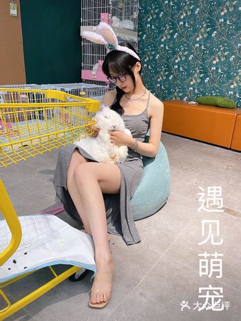意外惊喜  一个小推车一只巨型兔兔 又大又可爱又嗲