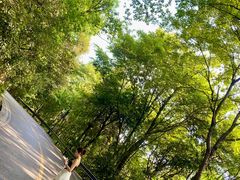 -岳麓山风景名胜区