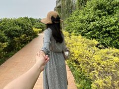 -百万葵园
