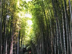 -苏州环秀晓筑养生度假村