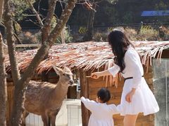 -昆明青龙峡风景区
