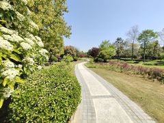 -南阳建业森林半岛假日酒店