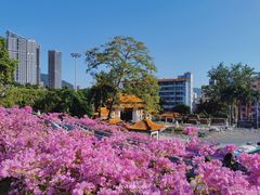 -深圳仙湖植物园