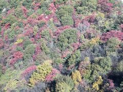-少华山国家森林公园