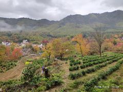 -塔川景区