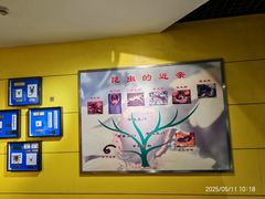 -上海昆虫博物馆