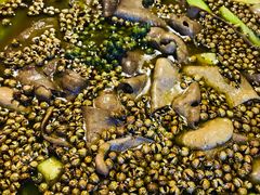 麻椒腰片-兰溪小馆(东直门簋街店)