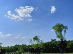 -汉长安城未央宫国家考古遗址公园