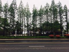 -1907光影俱乐部-电影生活馆