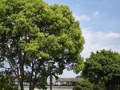 -福建鲤鱼洲酒店