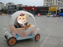 -利群海琴购物广场(商丘路店)