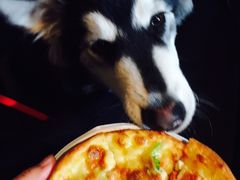 -百好乐宠物友好餐厅(朝外大街店)