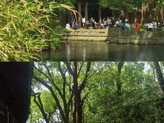 -天一阁博物院