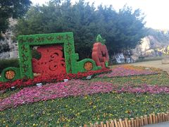 景点-金鸡山公园