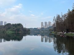 -重庆彩云湖湿地公园