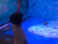 -芜湖新华联大白鲸海洋公园